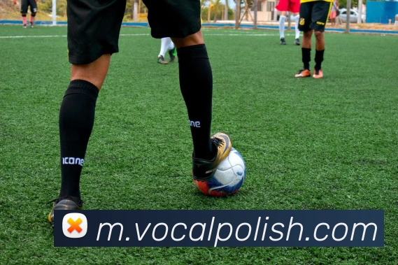 奖项证书
